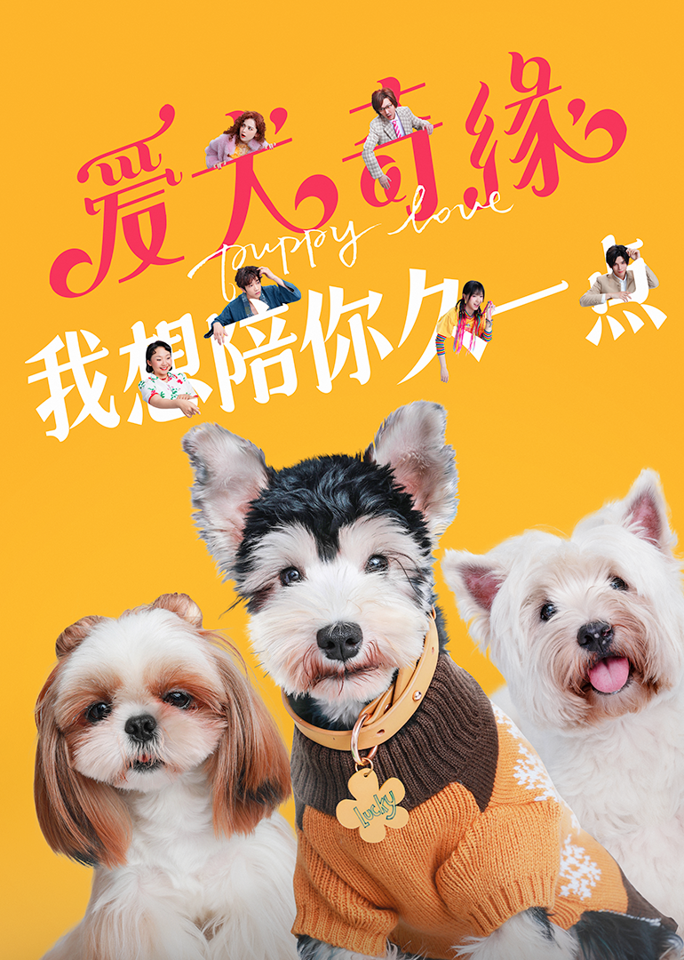 电影《爱犬奇缘》高清完整版免费在线观看