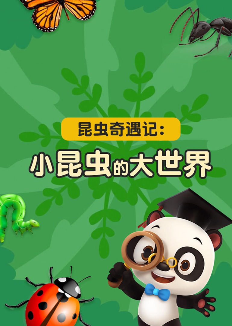 熊猫博士看世界昆虫奇遇记小昆虫的大世界