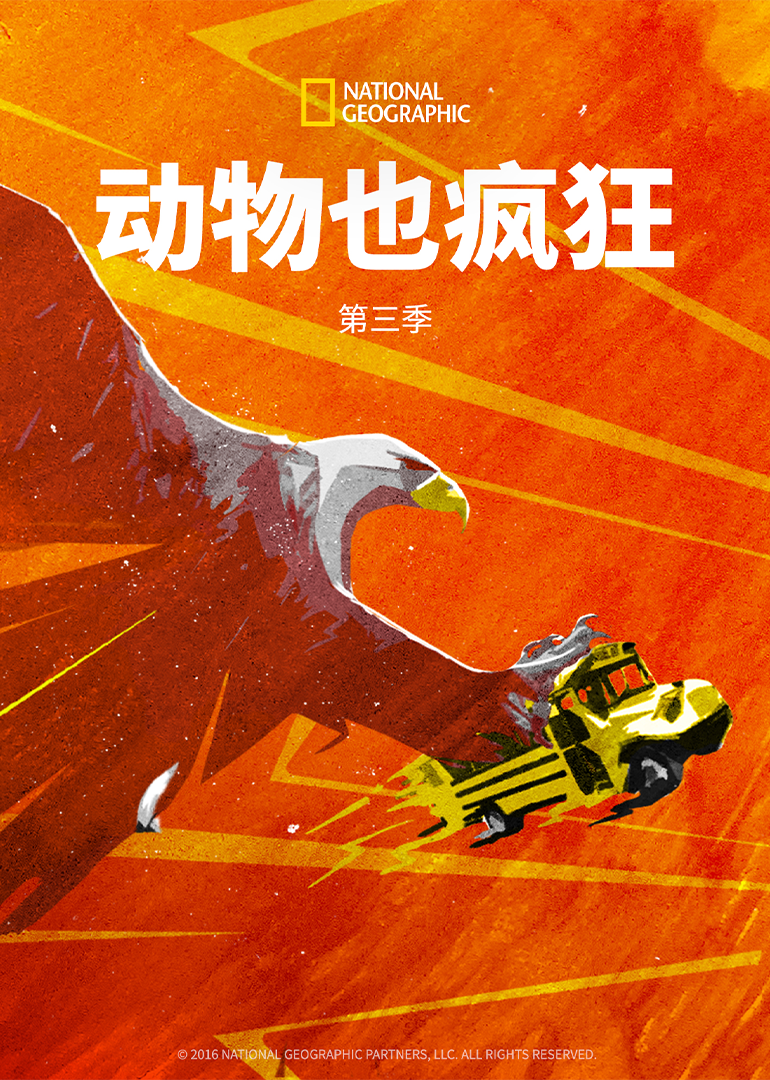 动物也疯狂 第3季