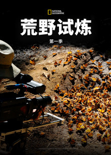 荒野试炼海报