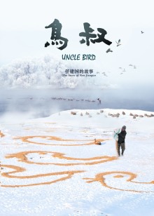 鸟叔——任建国的故事