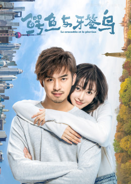 鳄鱼与牙签鸟dvd版