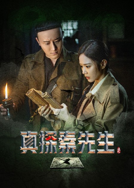 【直链】电视剧《真探秦先生（2023）》 - 1080P/720P高清HD下载