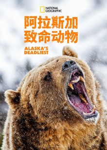 阿拉斯加致命动物