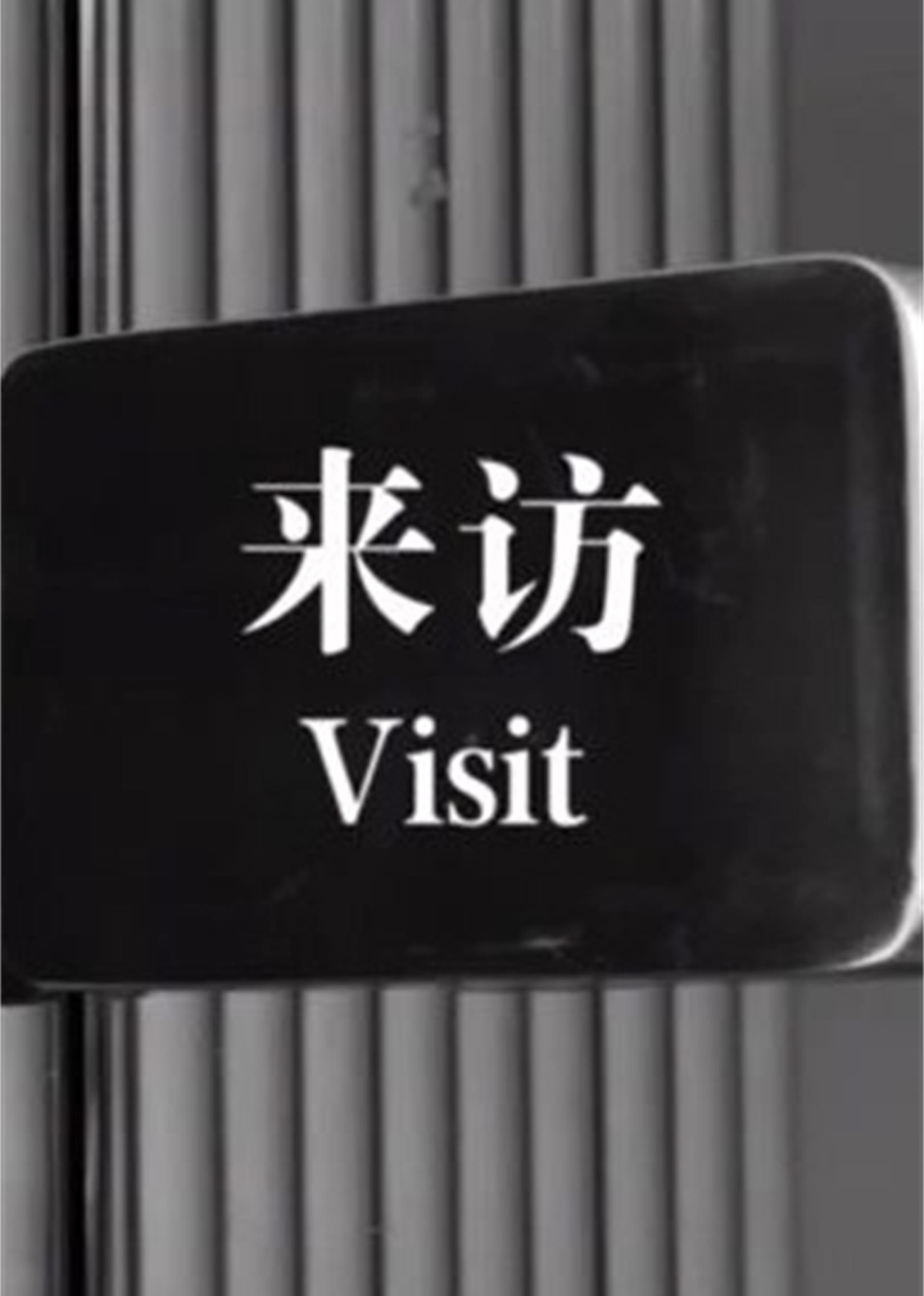 来访(visit-电影-腾讯视频