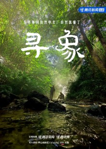 寻象海报