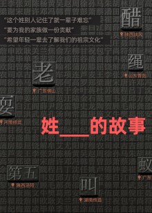 姓的故事海报