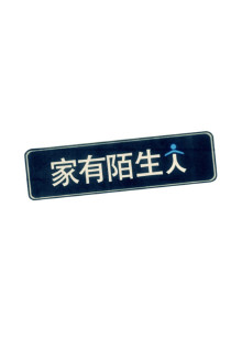 家有陌生人