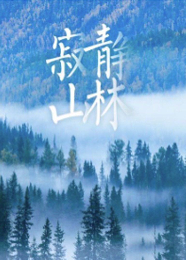 寂静山林