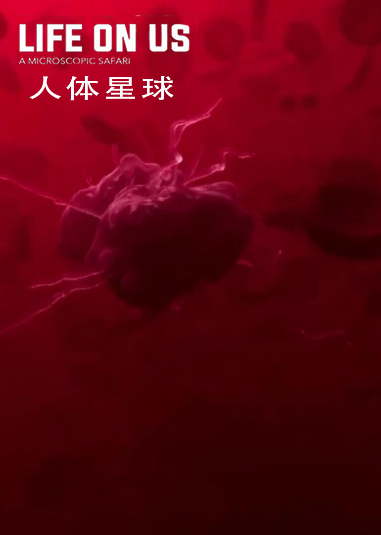 人体星球