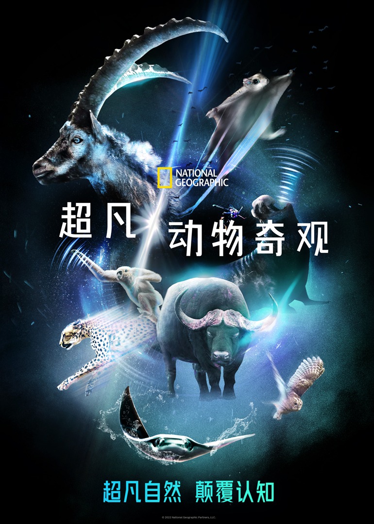 超凡动物奇观-封面1