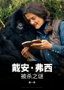 戴安弗西被杀之谜