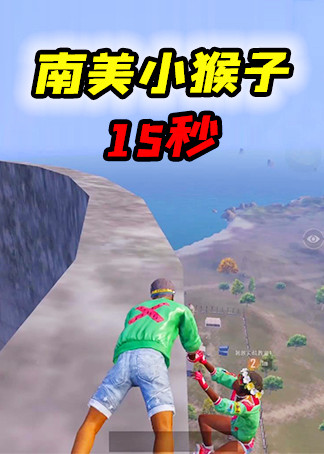 南美小猴子15秒