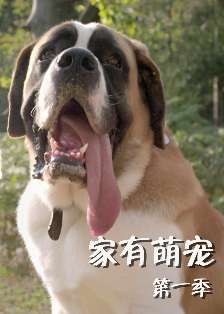 家有萌宠第一季