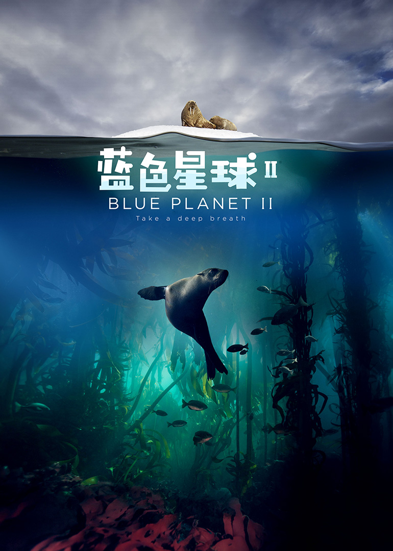 蓝色星球2深海萌物