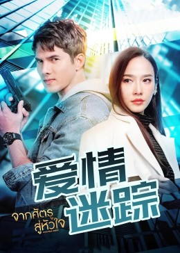 爱情迷踪封面图