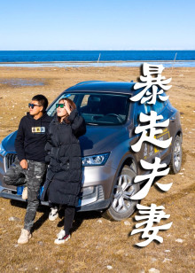 暴走夫妻海报