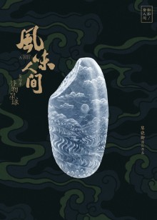 风味人间4谷物星球