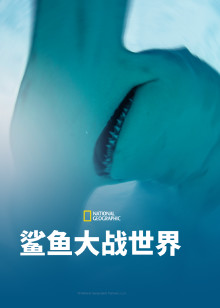 鲨鱼大战世界