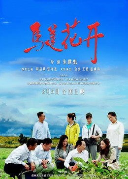 马莲花开封面图