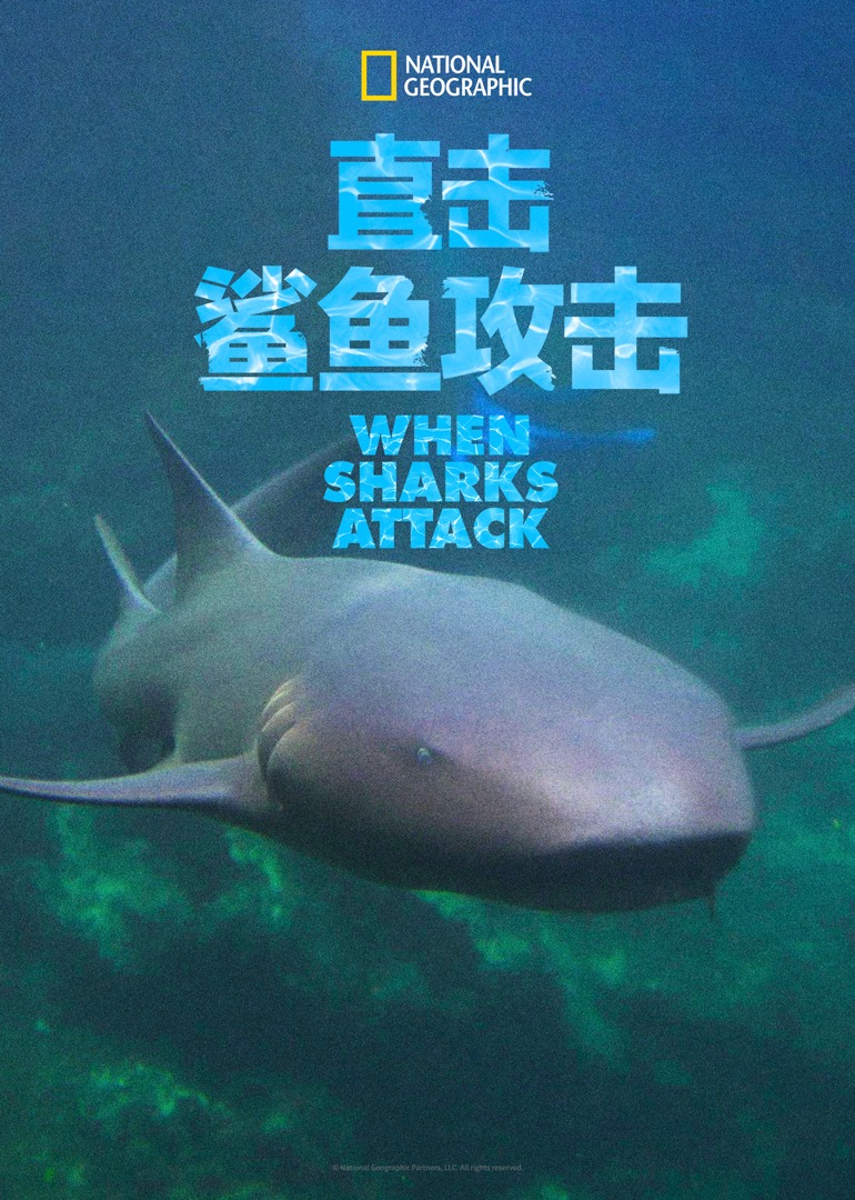 直击鲨鱼攻击 第4季