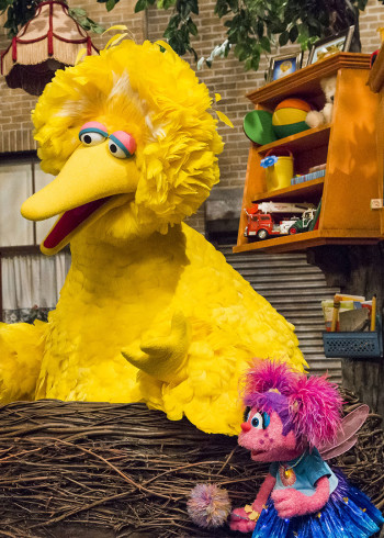 芝麻街30分钟国际版第四十九季国语