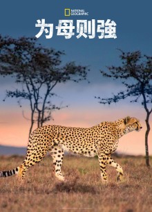 为母则强