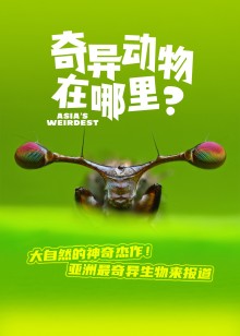 奇异动物在哪里
