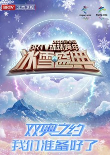 北京卫视跨年演唱会