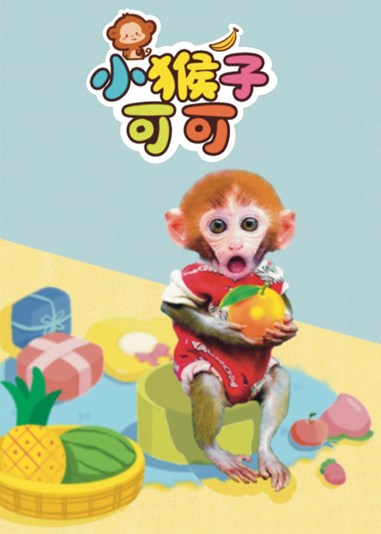小猴子可可}