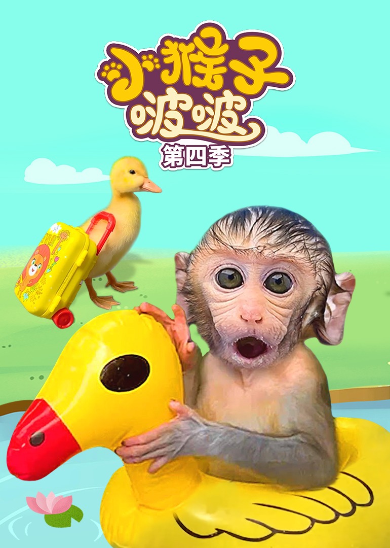 小猴子啵啵 第四季}