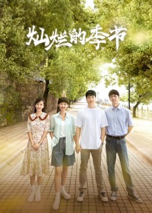 灿烂的季节