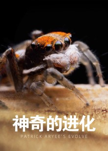 神奇的进化海报
