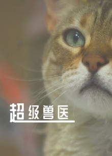超级兽医海报
