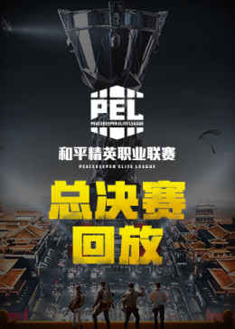 2019 pel和平精英职业联赛全程回放-决赛