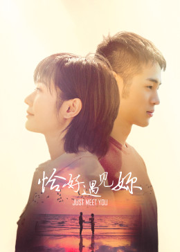 恰好遇见你2022封面图