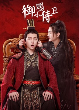 御赐小侍卫封面图