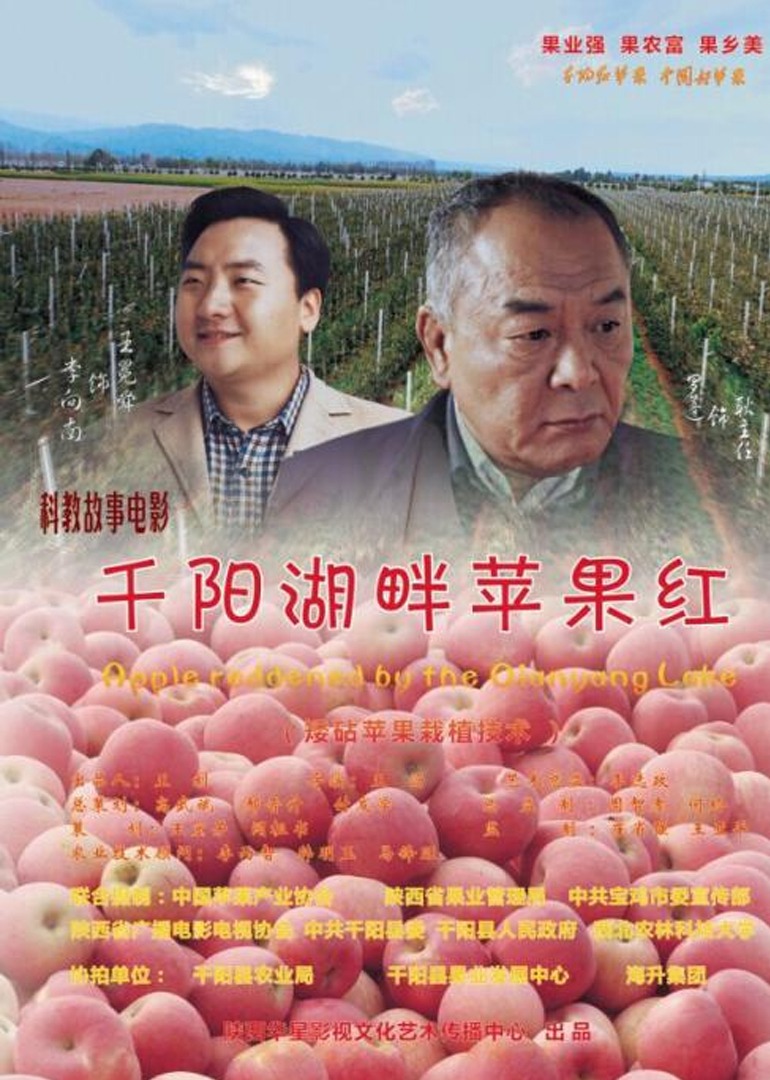 千阳湖畔苹果红 高清海报图 - 在线观看剧情片