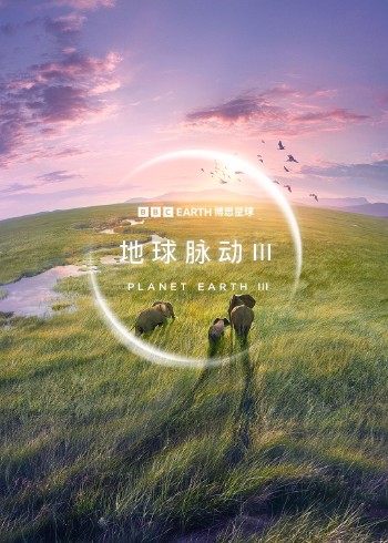 海报背景