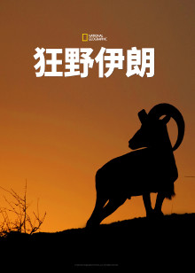 狂野伊朗