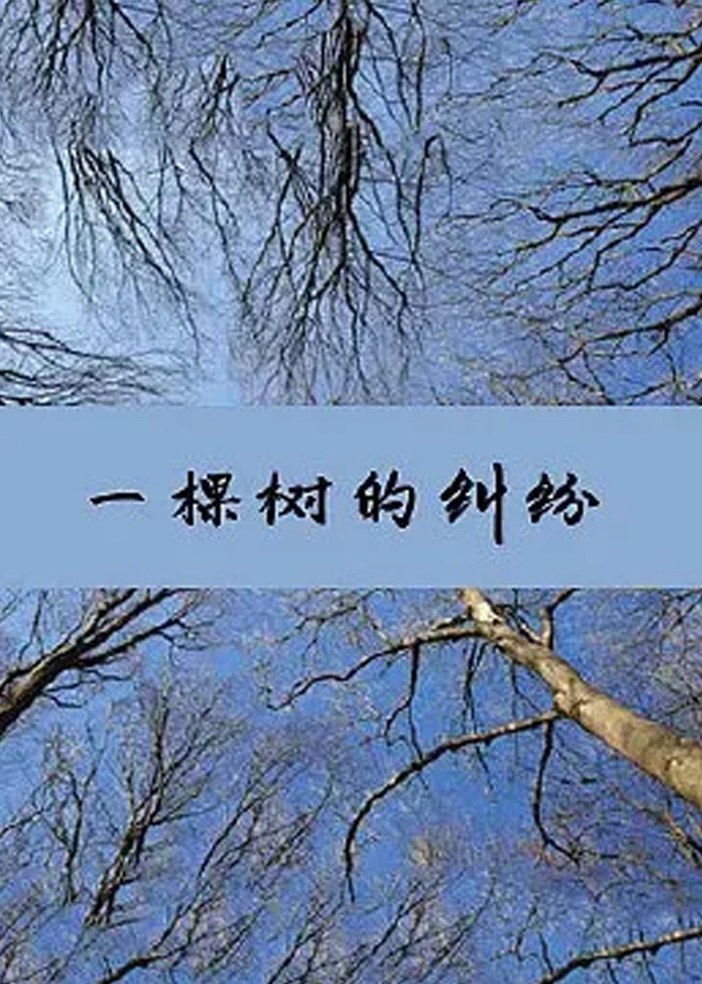 海报背景