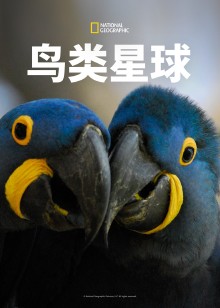 鸟类星球