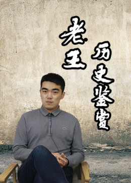 老王历史鉴赏