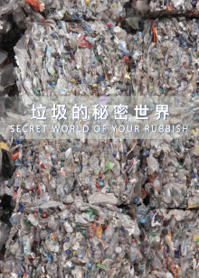 垃圾的秘密世界海报