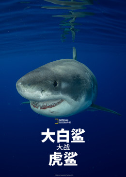 大白鲨大战虎鲨