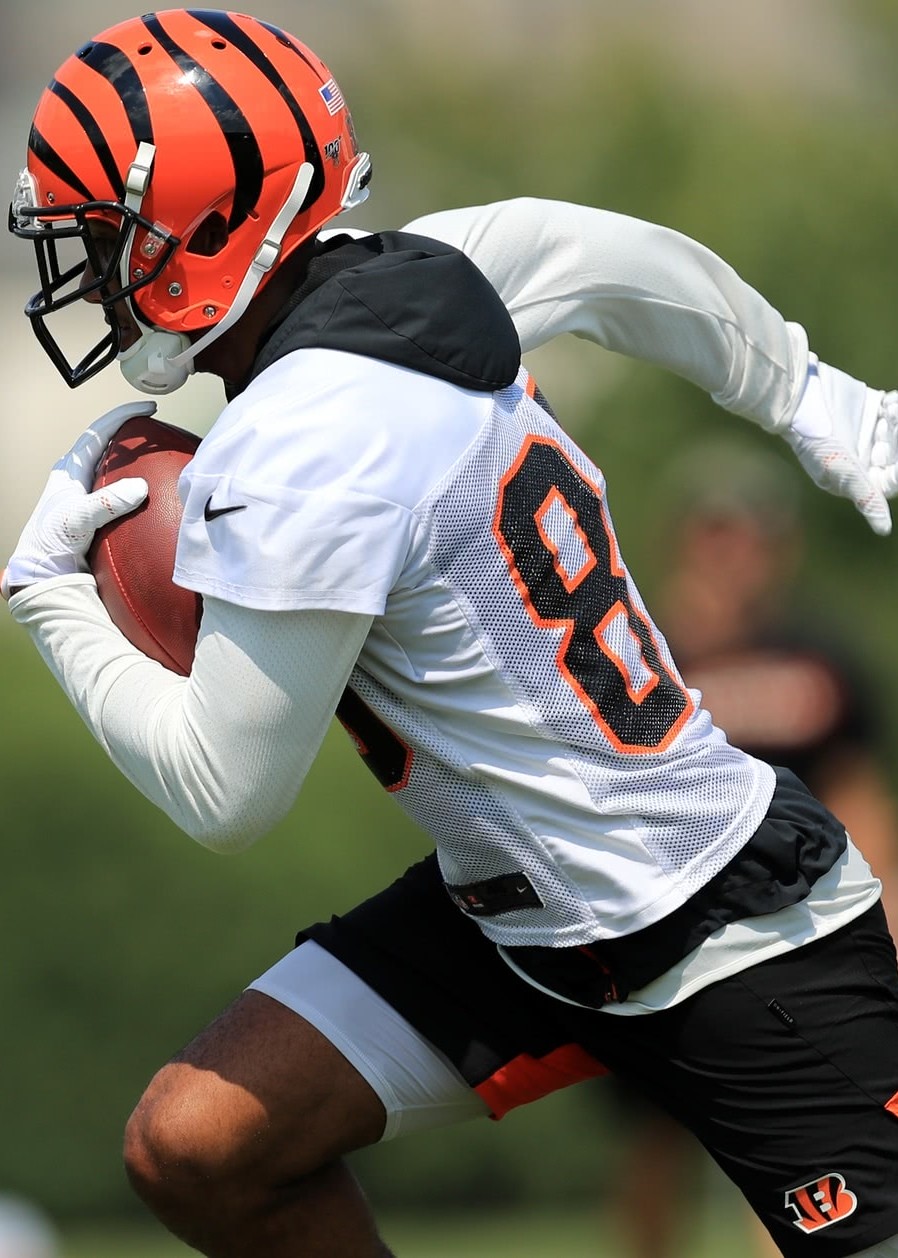 nfl常规赛猛虎vs公羊