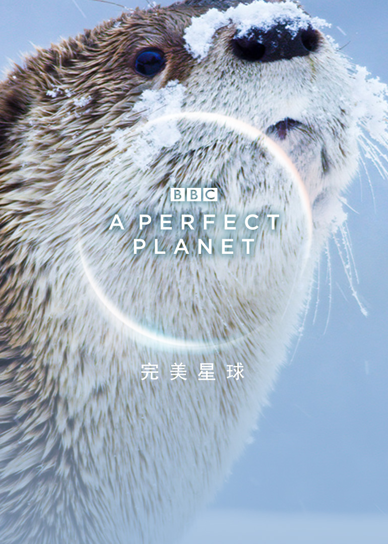 完美星球·高能幕后-纪录片-腾讯视频