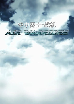 空中勇士-战机 第3季
