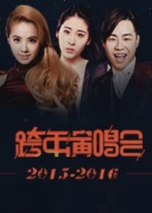 跨年演唱会
