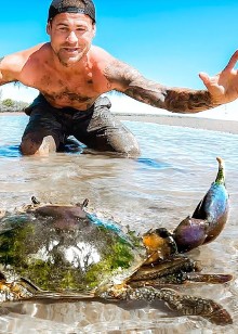 户外赶海抓鱼抓螃蟹